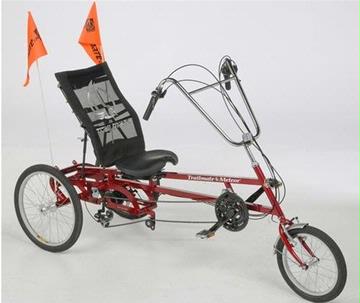 adults tricycle with child seats